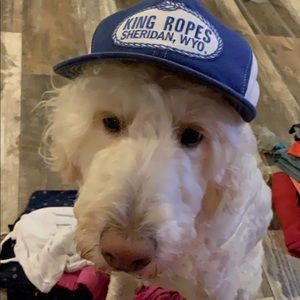 Meet your Posher, Madeline